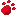 Pfote